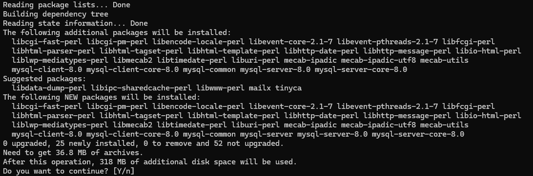 MySQL 설치 및 초기 설정